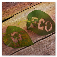 Produits d’entretien certifiés écolabel